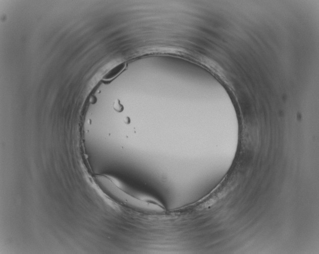 X0000061750898200512231522