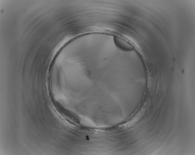 X0000061750899200512231522