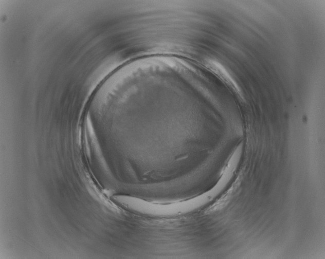 X0000061750900200512231522