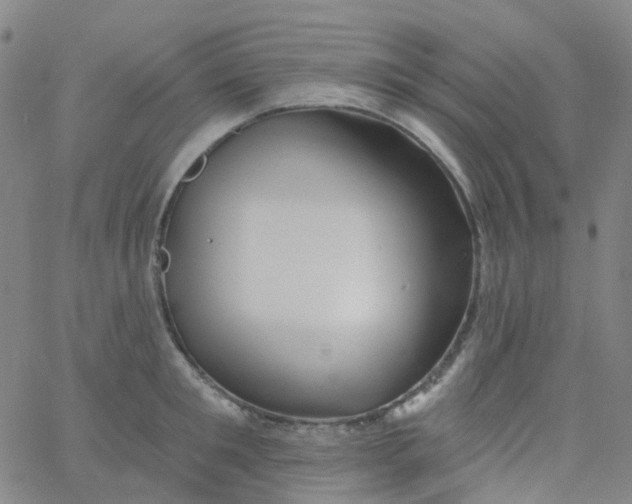 X0000061750901200512231522