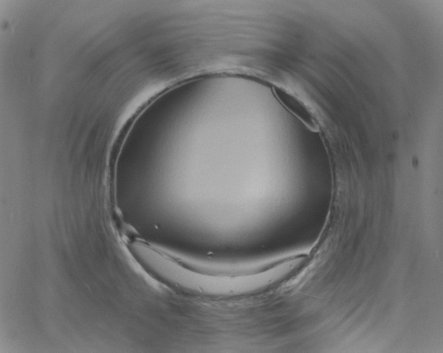 X0000061750902200512231522