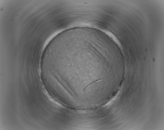 X0000061750904200512231522