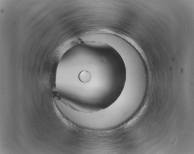 X0000061750905200512231522