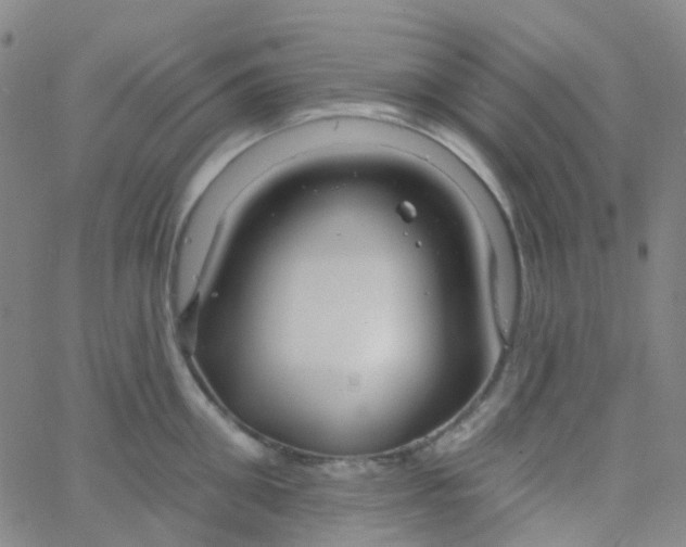 X0000061750906200512231522