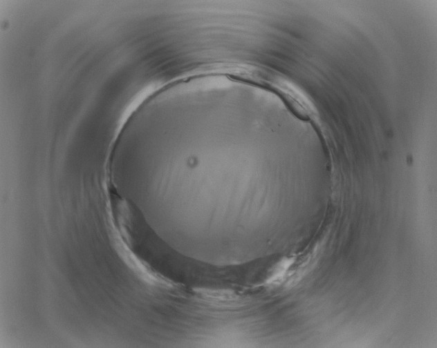 X0000061750907200512231522