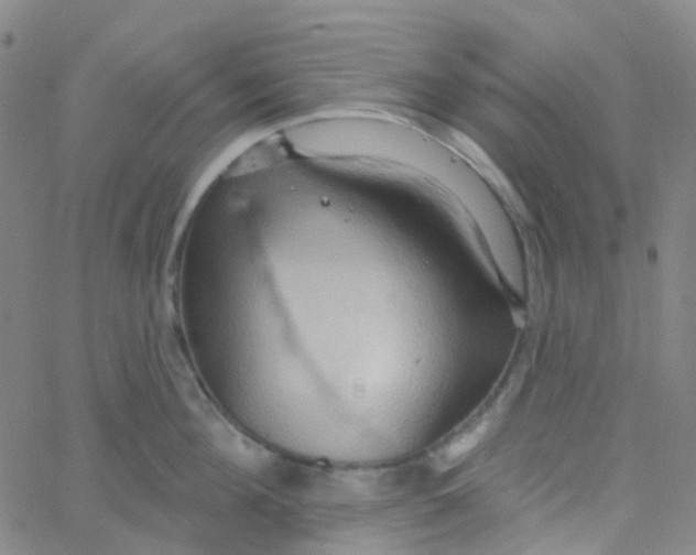 X0000061750908200512231522