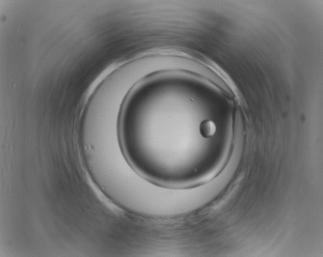 X0000061750909200512231522