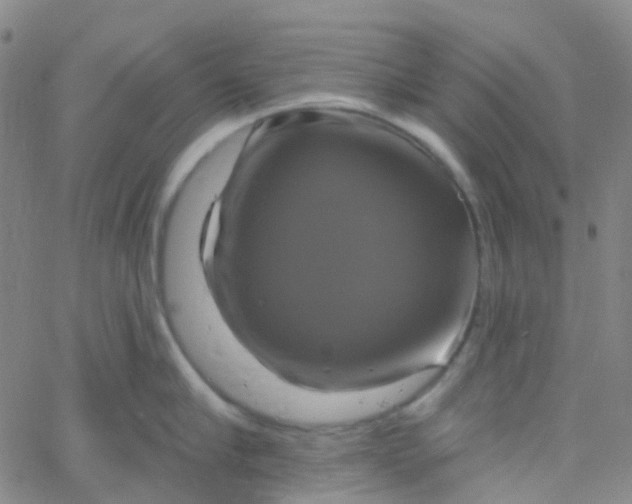 X0000061750910200512231522