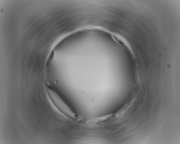 X0000061750911200512231522