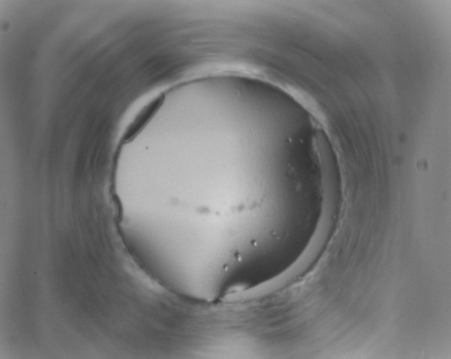 X0000061750912200512231522