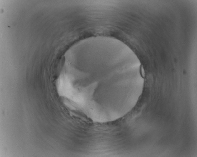 X0000061750913200512231521