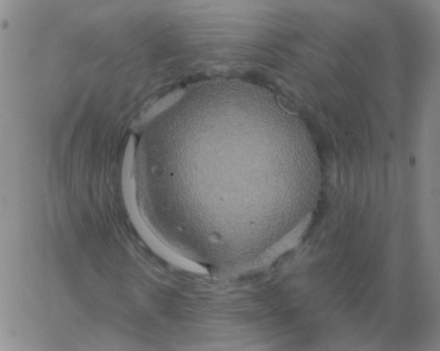 X0000061750914200512231521