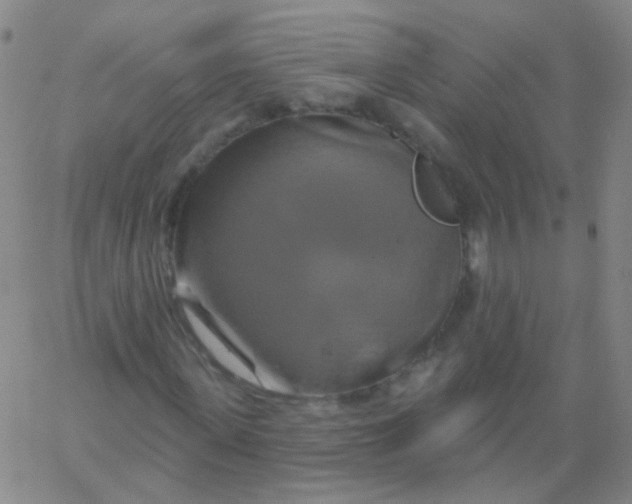 X0000061750915200512231521