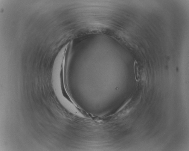 X0000061750916200512231521