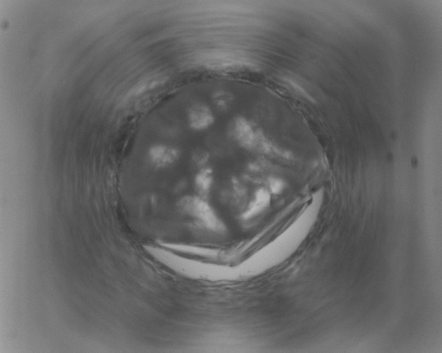 X0000061750917200512231521