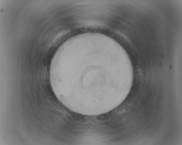 X0000061750918200512231521