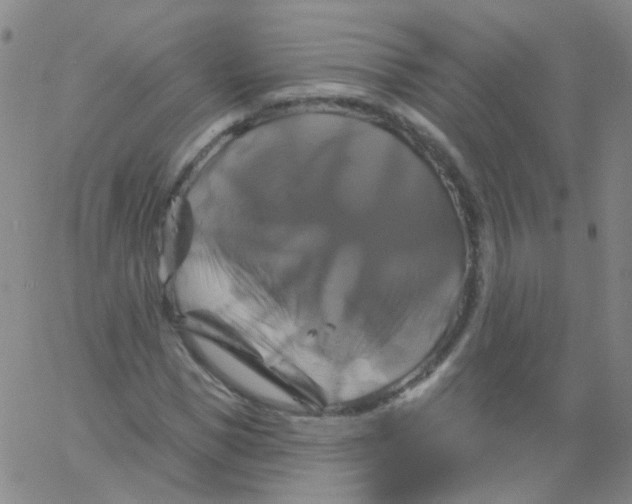 X0000061750921200512231522