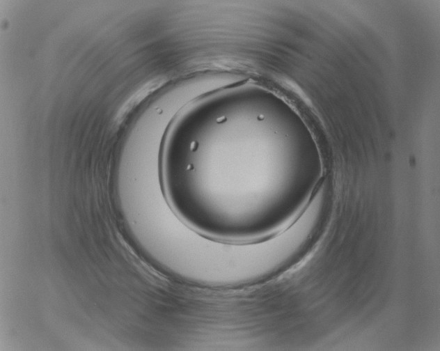 X0000061750922200512231522