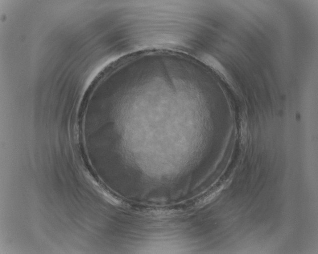 X0000061750924200512231522