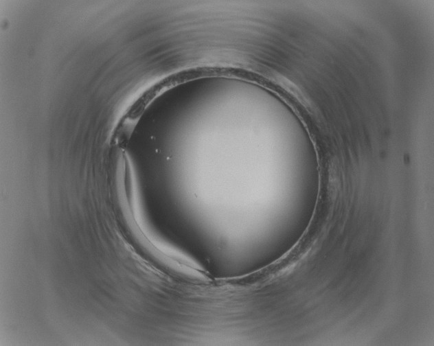 X0000061750926200512231522