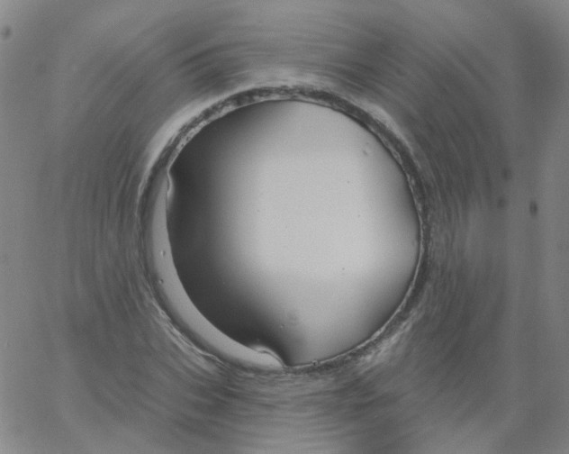 X0000061750927200512231522