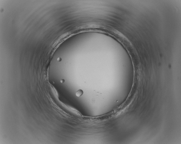 X0000061750929200512231522