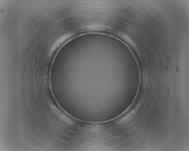 X0000061750930200512231522