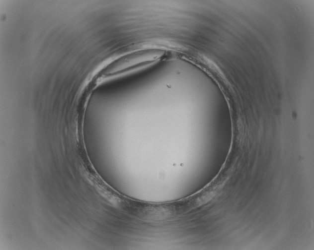 X0000061750931200512231522