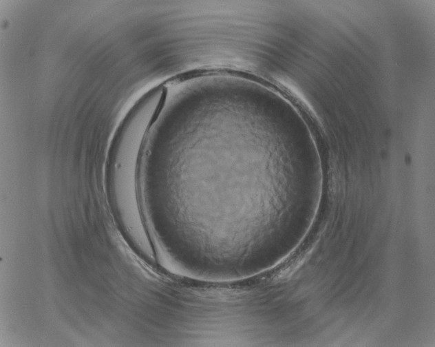 X0000061750932200512231522