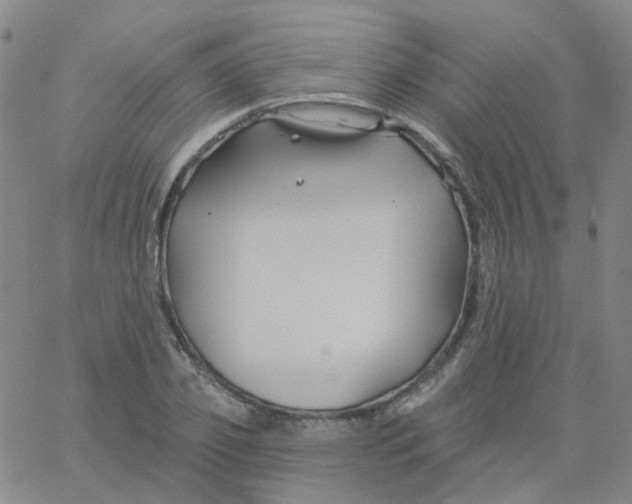 X0000061750933200512231522