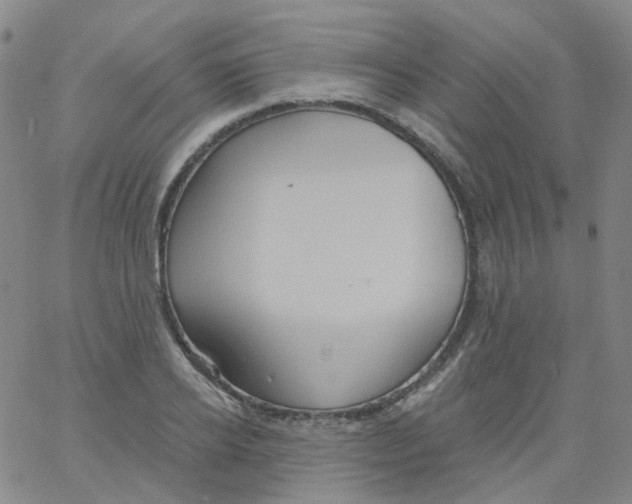 X0000061750934200512231522