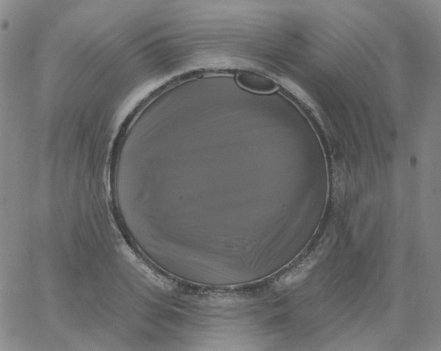 X0000061750935200512231522