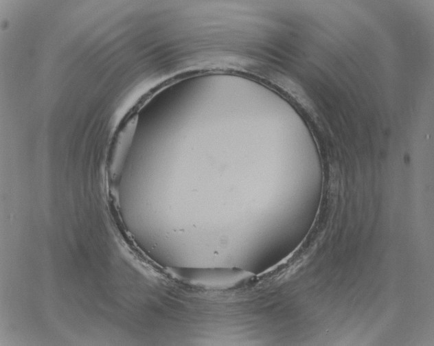 X0000061750936200512231522