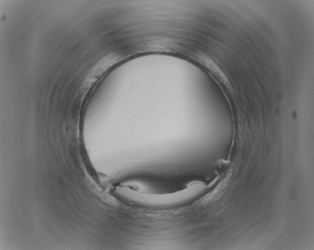 X0000061750938200512231522