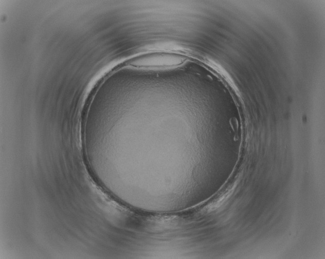 X0000061750939200512231522