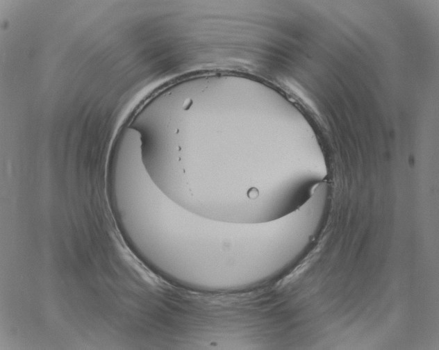 X0000061750940200512231522