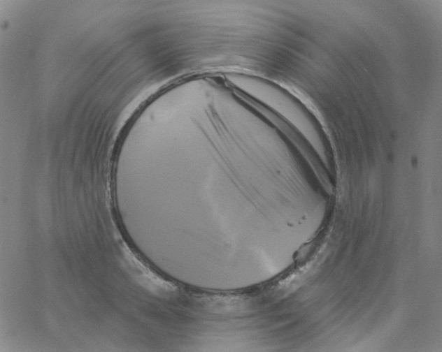 X0000061750941200512231522