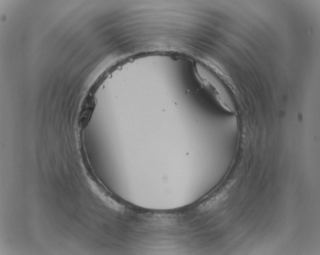 X0000061750942200512231522