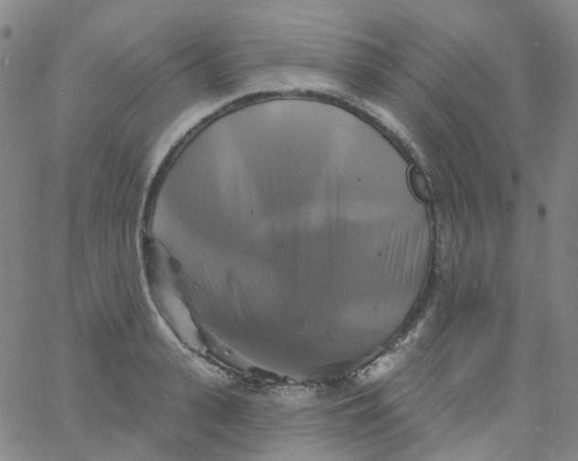 X0000061750943200512231522