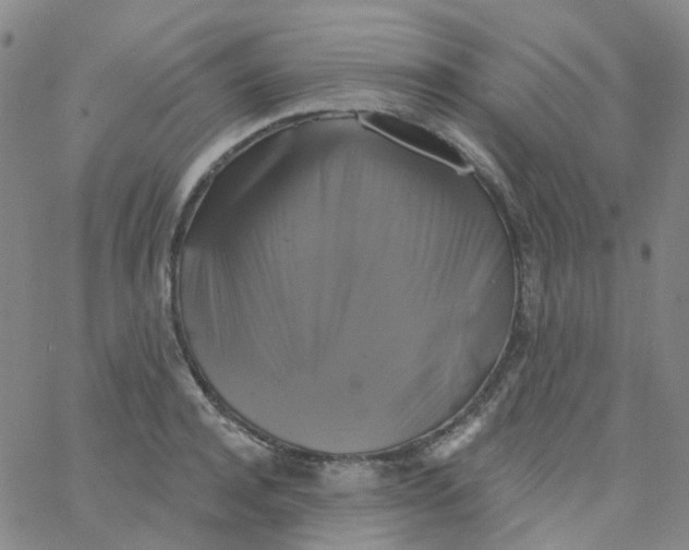 X0000061750944200512231522