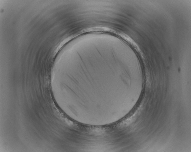 X0000061750945200512231522