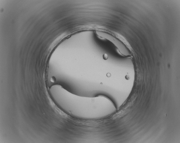 X0000061750946200512231522