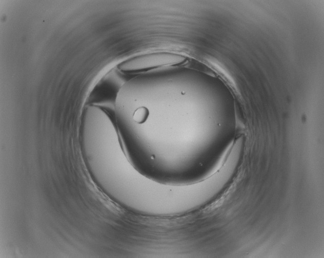 X0000061750948200512231522