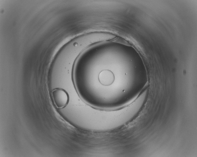 X0000061750950200512231522