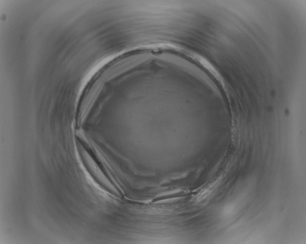 X0000061750951200512231522