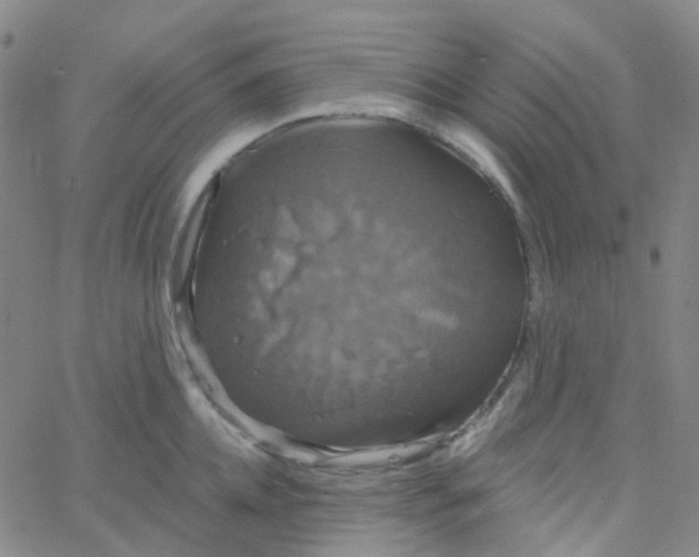 X0000061750952200512231522