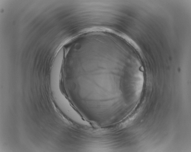 X0000061750953200512231522