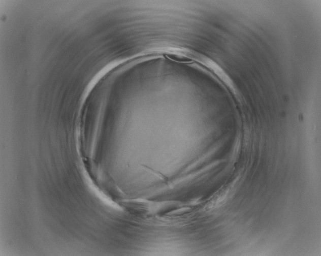 X0000061750955200512231522