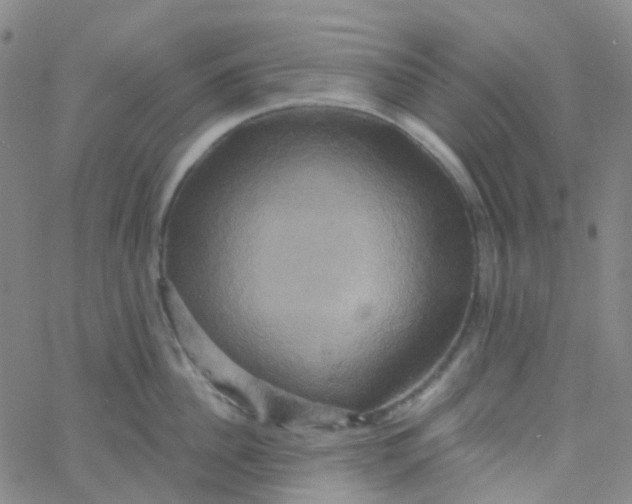 X0000061750956200512231522