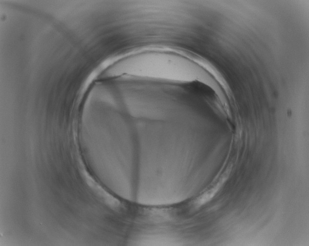 X0000061750958200512231522